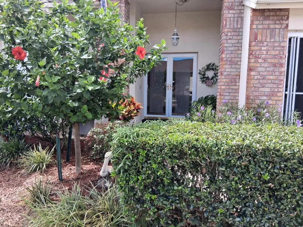 9014 SEVERN LANE #8 New Port Richey, FL 34655