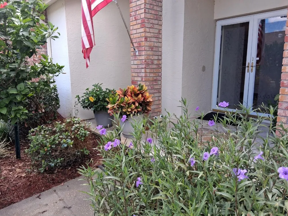 9014 SEVERN LANE #8 New Port Richey, FL 34655