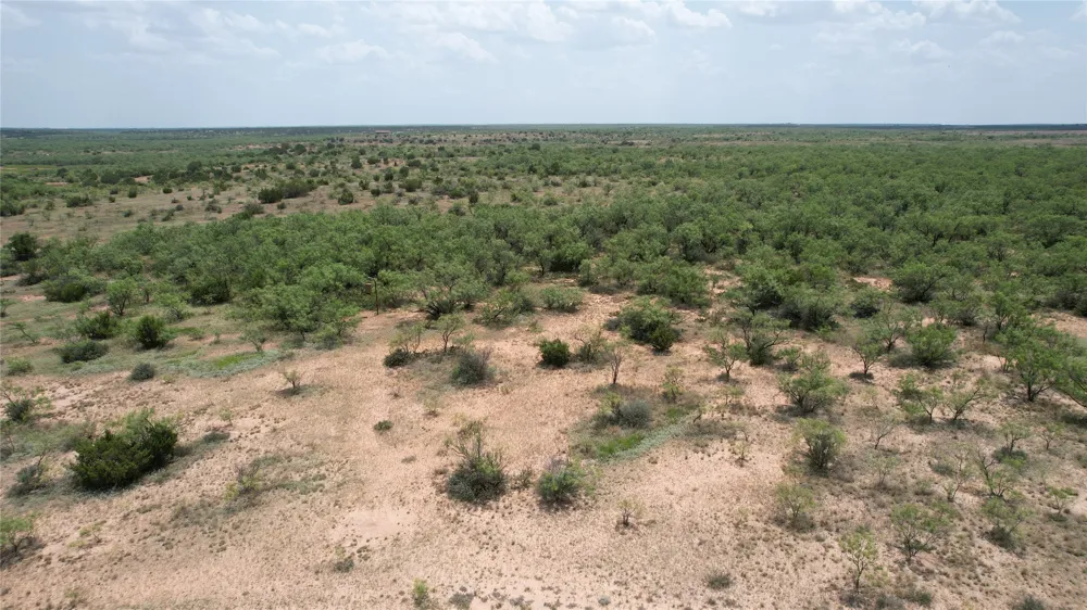 5510 CRD 287 Bronte, TX 76933