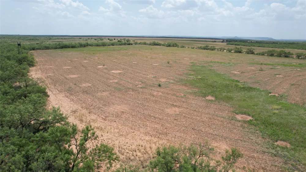 5510 CRD 287 Bronte, TX 76933