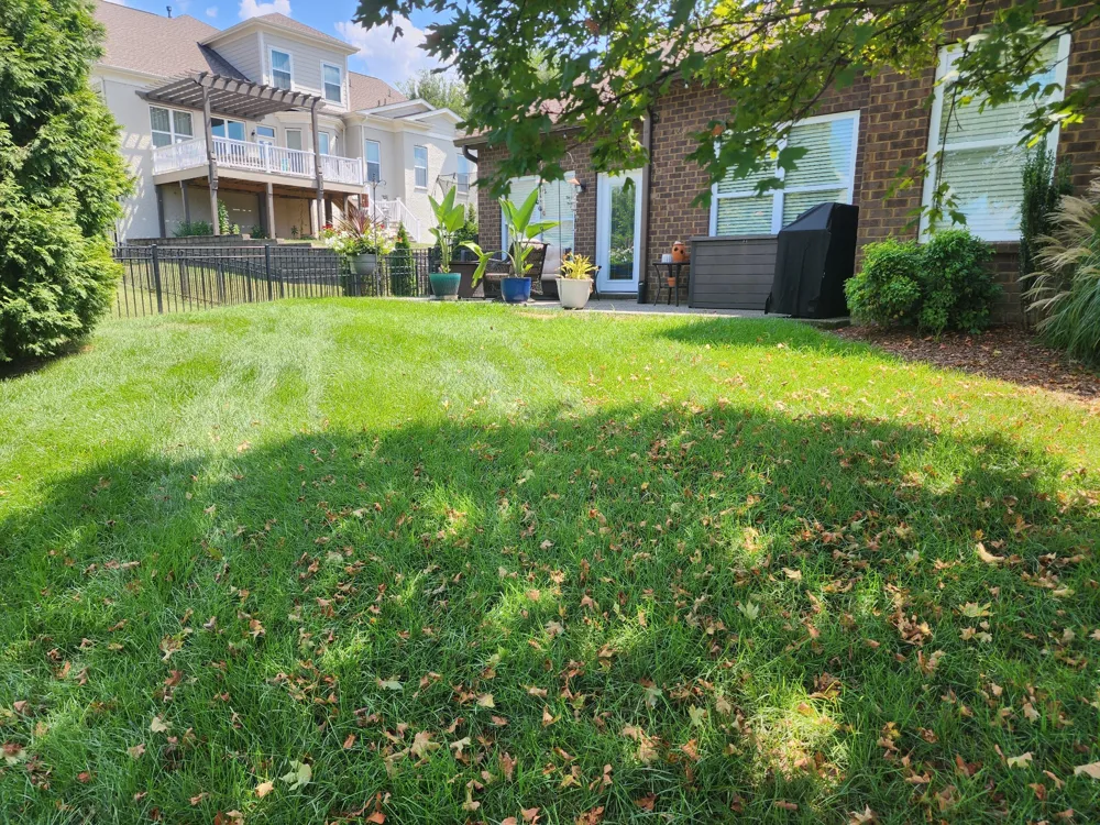 379 Alfred Ladd Rd E Franklin, TN 37064