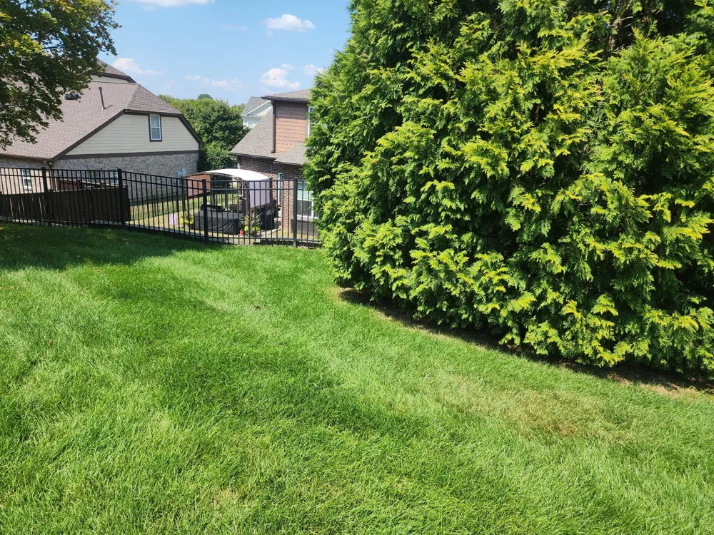 379 Alfred Ladd Rd E Franklin, TN 37064