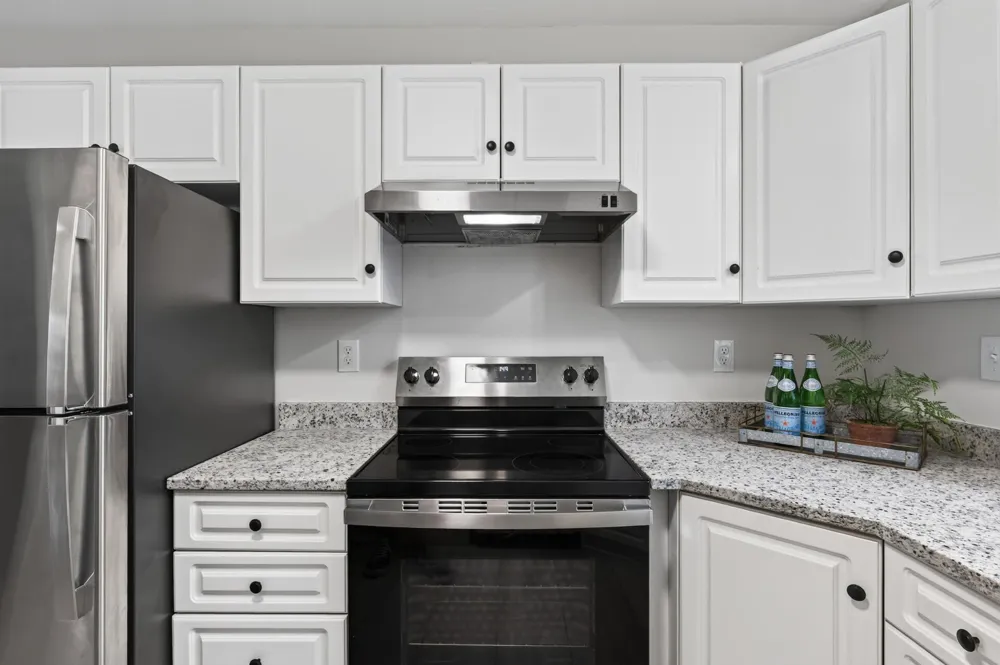 1325 Flag Avenue S Saint Louis Park, MN 55426