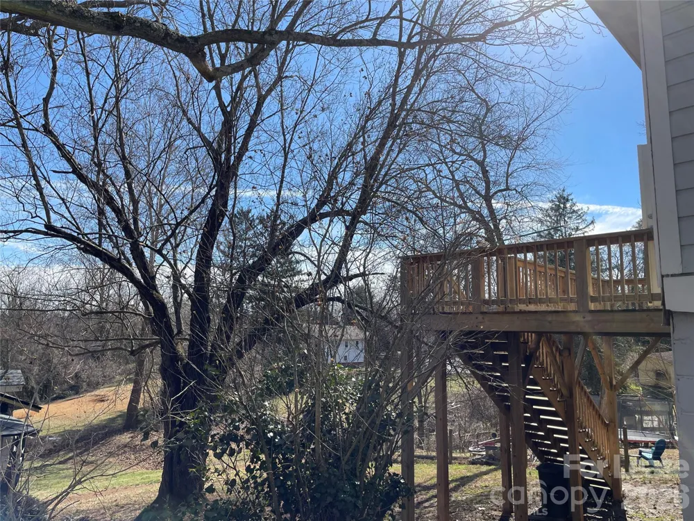 41 Blue Ridge Avenue Asheville, NC 28806