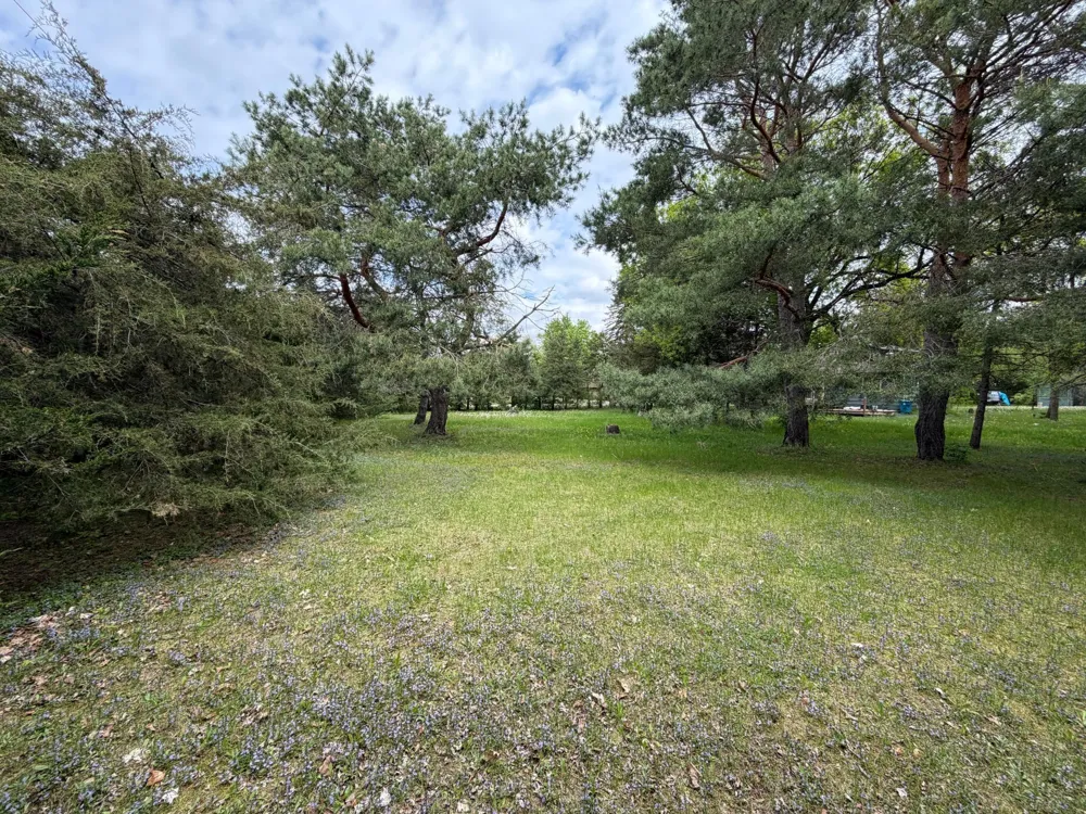 980 Porter Street Clearwater, MN 55320