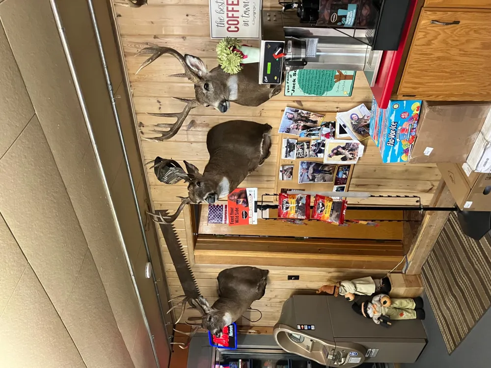 46023 State Highway 6 Bowstring, MN 56631