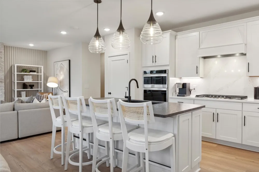 10396 Griffin Avenue S Cottage Grove, MN 55016