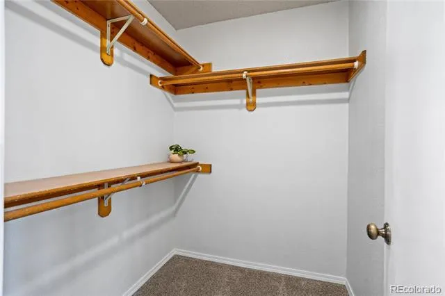 4955 Galileo Drive Colorado Springs, CO 80917