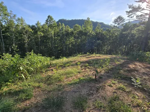 Lot 67 Hi River Country