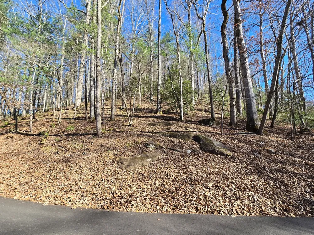 Lot 67 Hi River Country Hiawassee, GA 30546