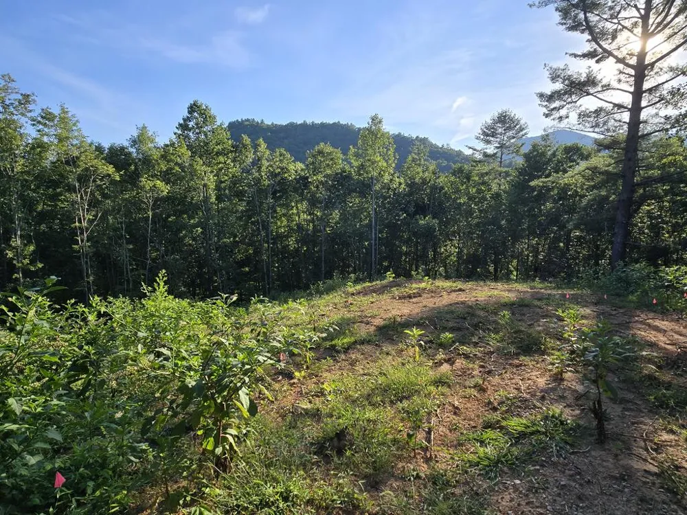 Lot 67 Hi River Country Hiawassee, GA 30546