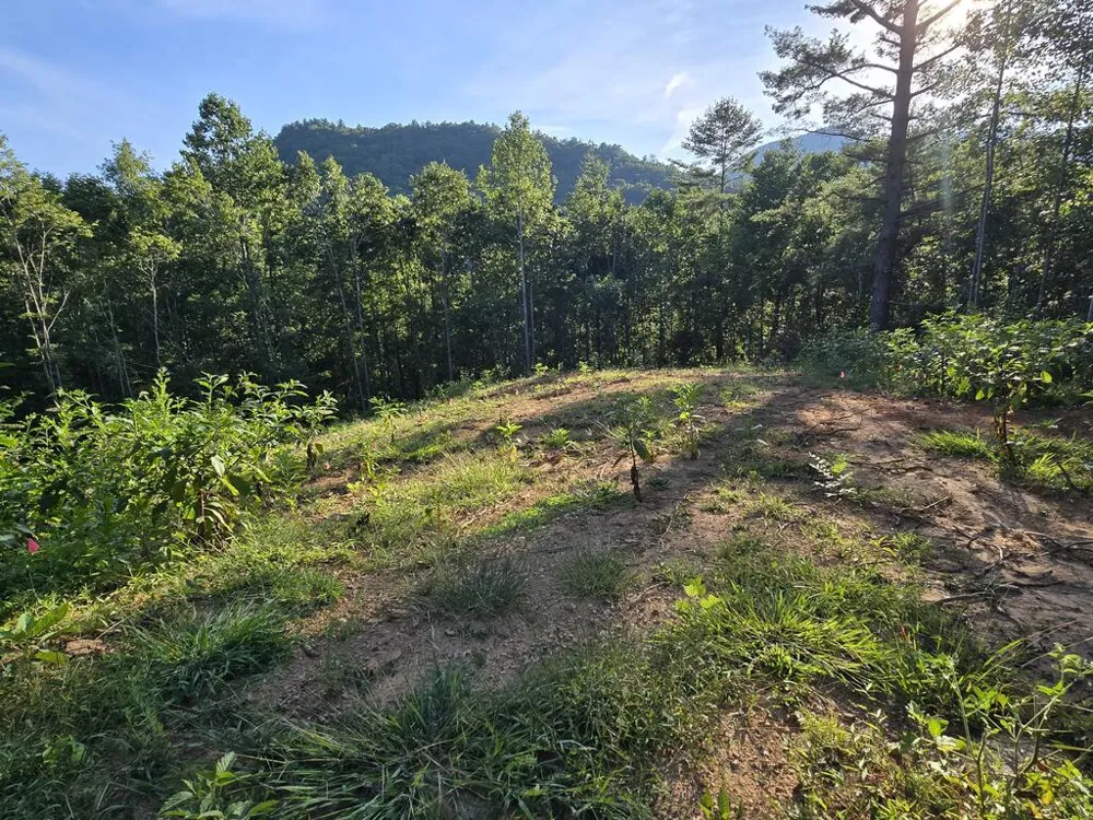 Lot 67 Hi River Country Hiawassee, GA 30546