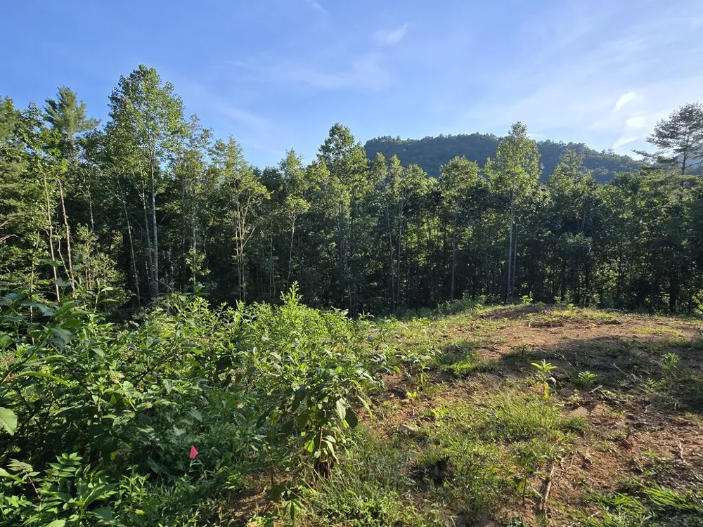 Lot 67 Hi River Country Hiawassee, GA 30546