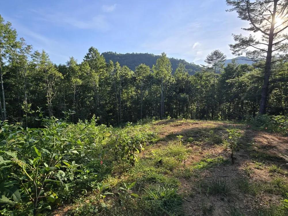 Lot 67 Hi River Country Hiawassee, GA 30546