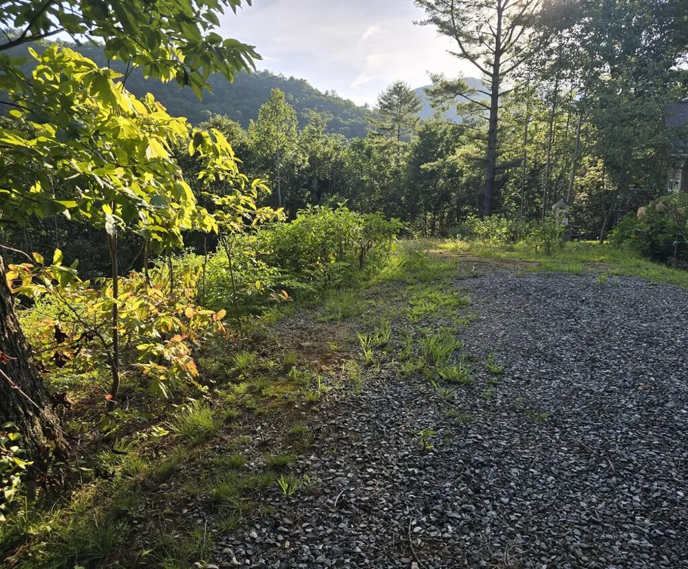 Lot 67 Hi River Country Hiawassee, GA 30546