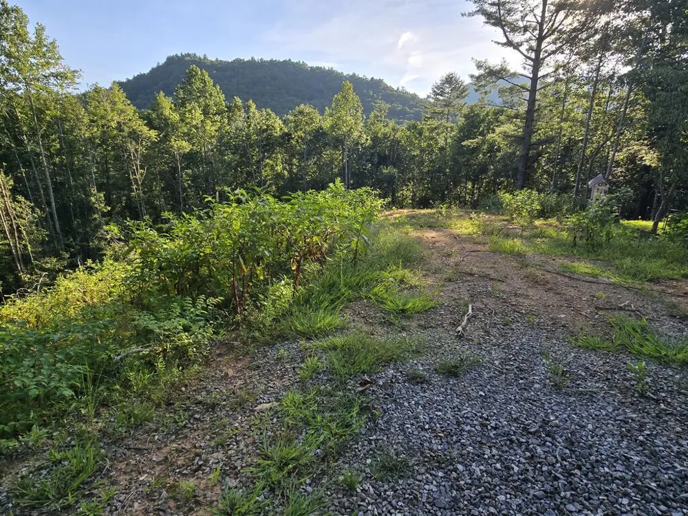 Lot 67 Hi River Country Hiawassee, GA 30546