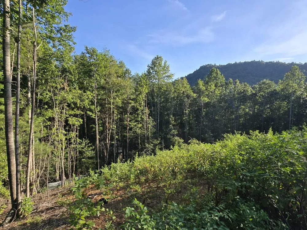 Lot 67 Hi River Country Hiawassee, GA 30546