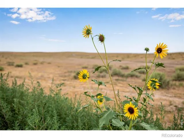 0 County Road 108 Parcel 9 Lot B Nunn, CO 80648