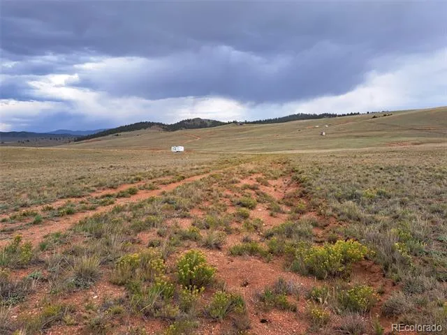 0000 Kiowa Road Hartsel, CO 80449
