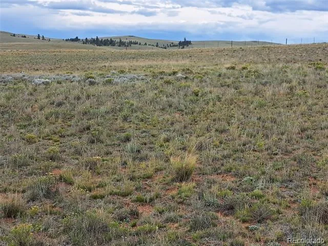 0000 Kiowa Road Hartsel, CO 80449