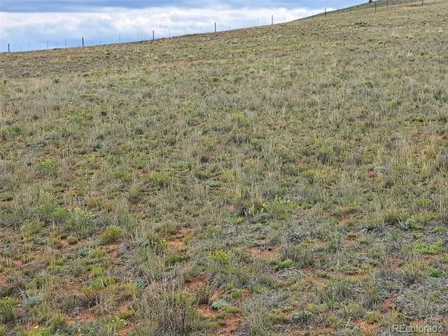 0000 Kiowa Road Hartsel, CO 80449