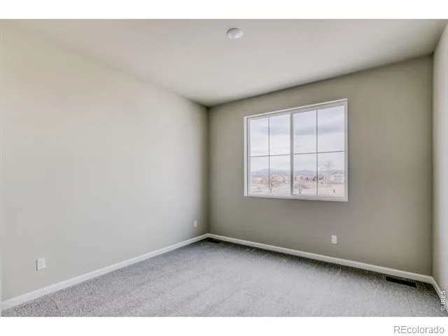 617 Noola Street Windsor, CO 80550