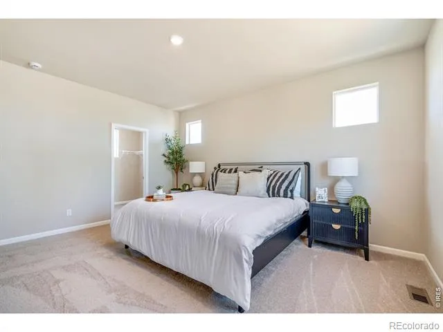 656 Noola Street Windsor, CO 80550