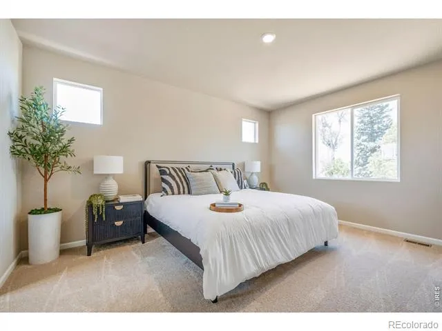 656 Noola Street Windsor, CO 80550