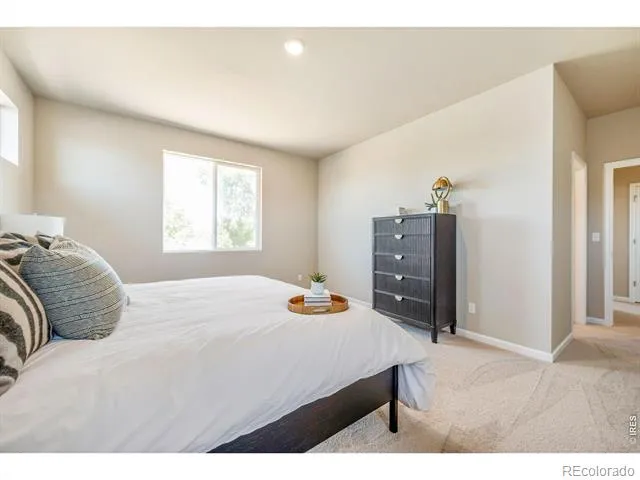 656 Noola Street Windsor, CO 80550