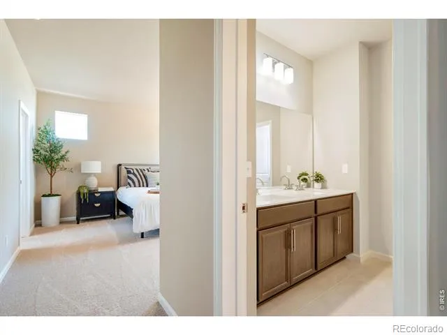 656 Noola Street Windsor, CO 80550