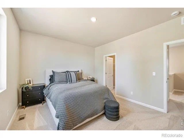 656 Noola Street Windsor, CO 80550