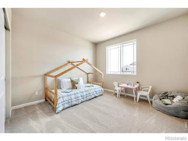 656 Noola Street Windsor, CO 80550