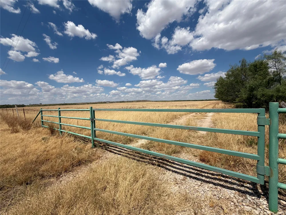FM 2180 Seymour, TX 76380