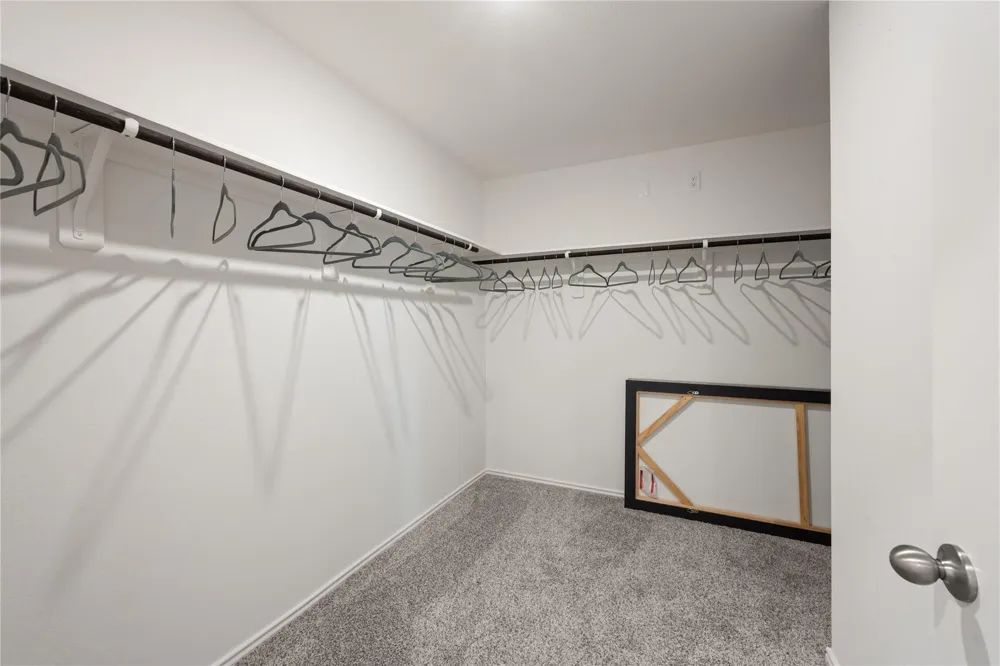 31315 Harp Ridge Drive Fulshear, TX 77441