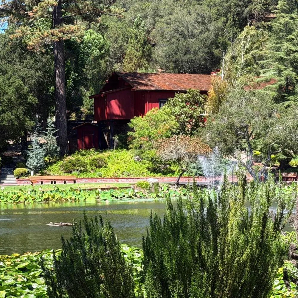 552 Bean Creek Road #94 Scotts Valley, CA 95066