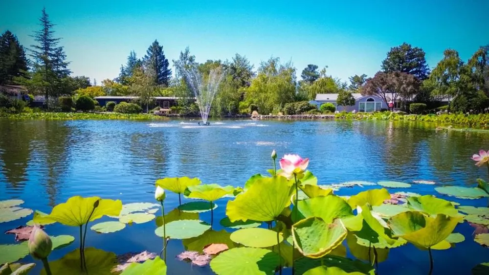 552 Bean Creek Road #94 Scotts Valley, CA 95066