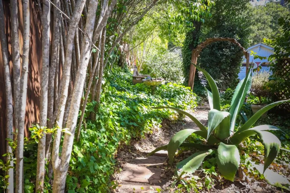 552 Bean Creek Road #94 Scotts Valley, CA 95066
