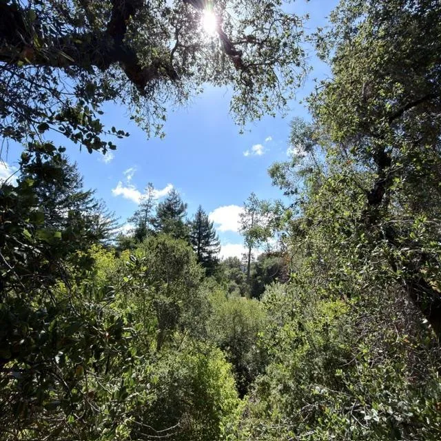 552 Bean Creek Road #94 Scotts Valley, CA 95066