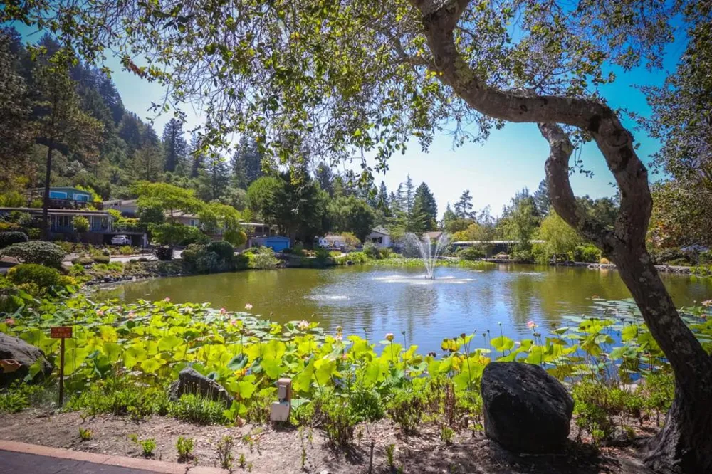 552 Bean Creek Road #94 Scotts Valley, CA 95066