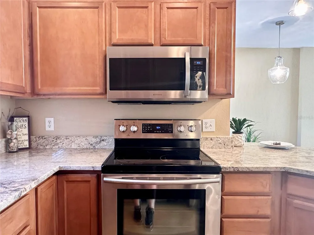 12276 COUNTRY WHITE CIRCLE Tampa, FL 33635