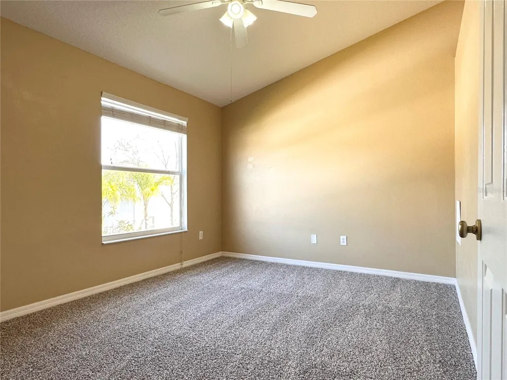 12276 COUNTRY WHITE CIRCLE Tampa, FL 33635