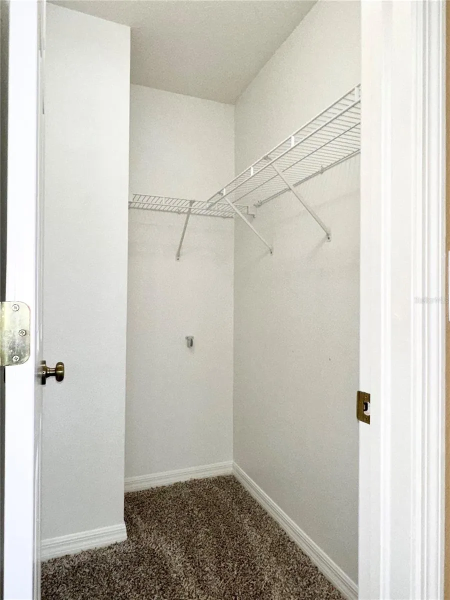 12276 COUNTRY WHITE CIRCLE Tampa, FL 33635