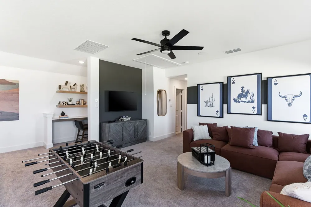 225 Flora Springs Cove Liberty Hill, TX 78642