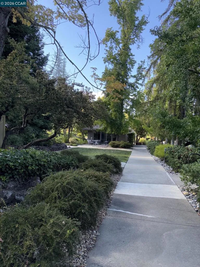 1163 RUNNING SPRINGS #3 Walnut Creek, CA 94595