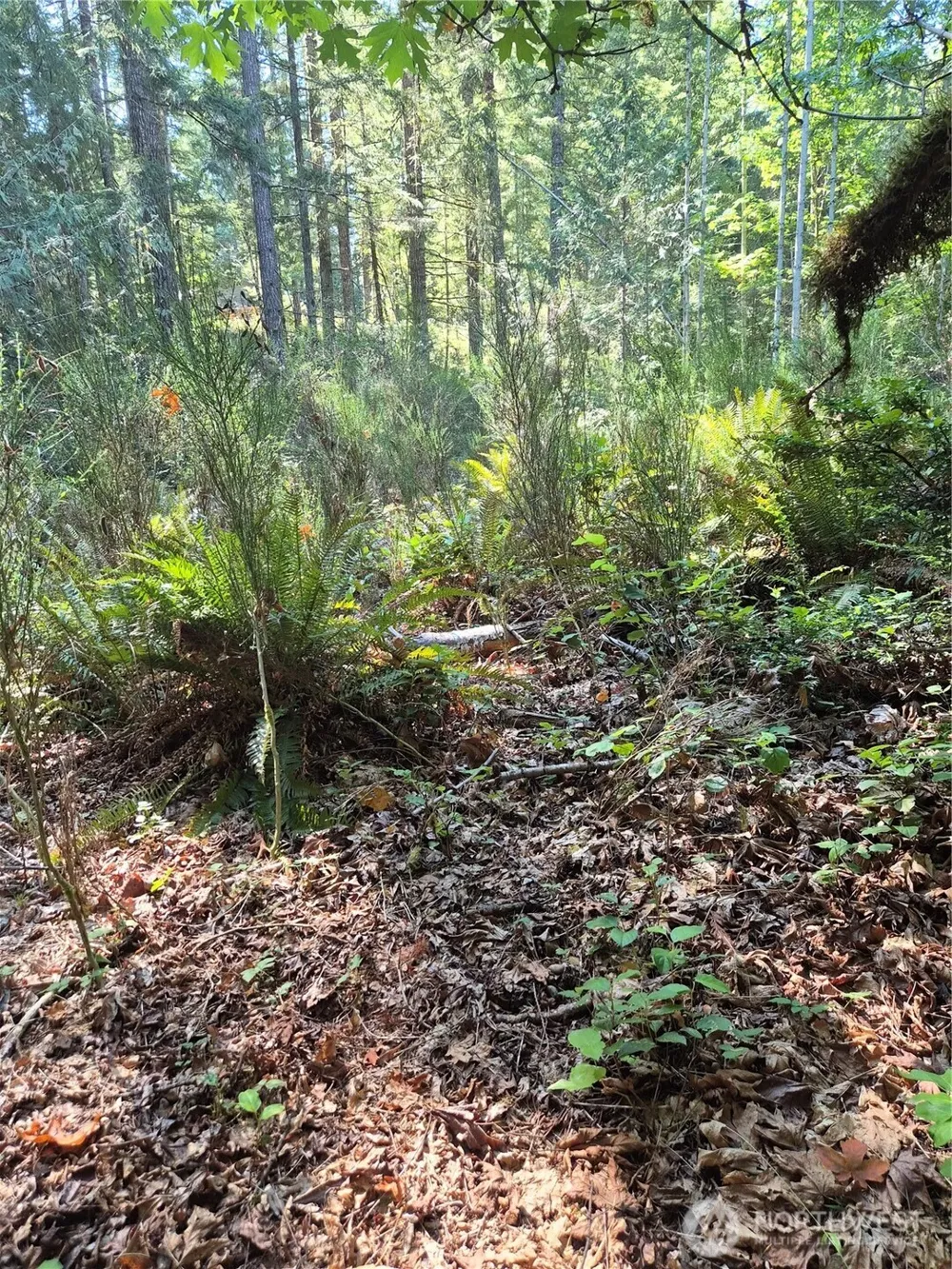 2755 Lost Creek Lane NW Bremerton, WA 98312