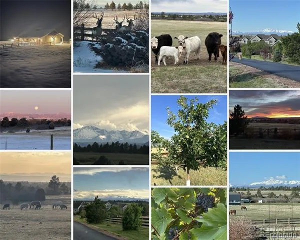 1489 E Rim Road Franktown, CO 80116