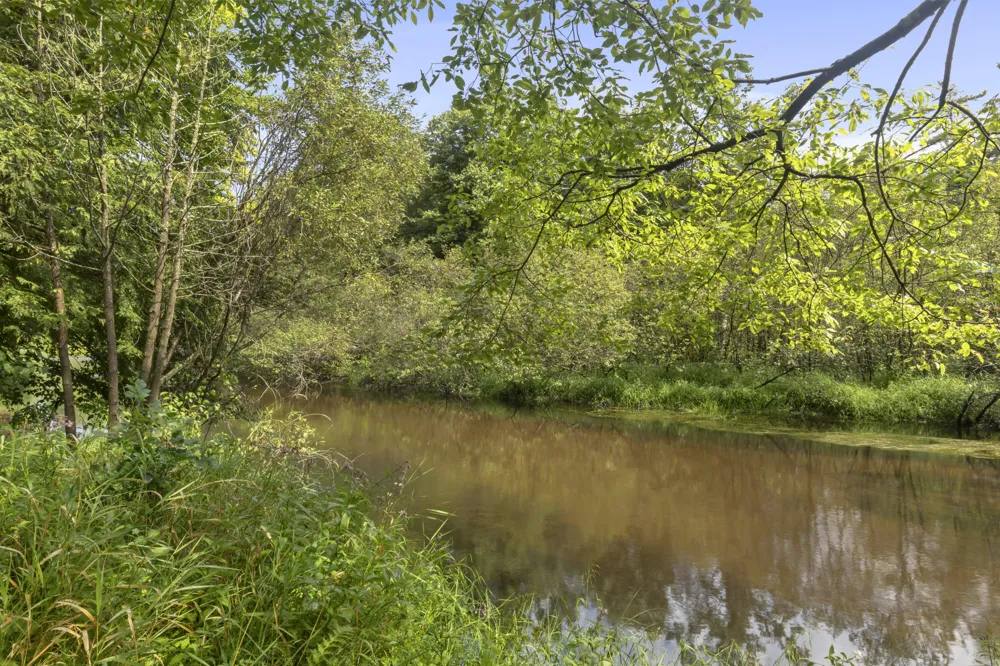 9095 Bear Creek Drive Kaleva, MI 49645