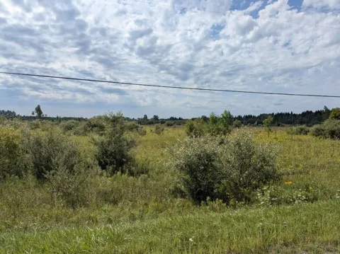 Curtis Road