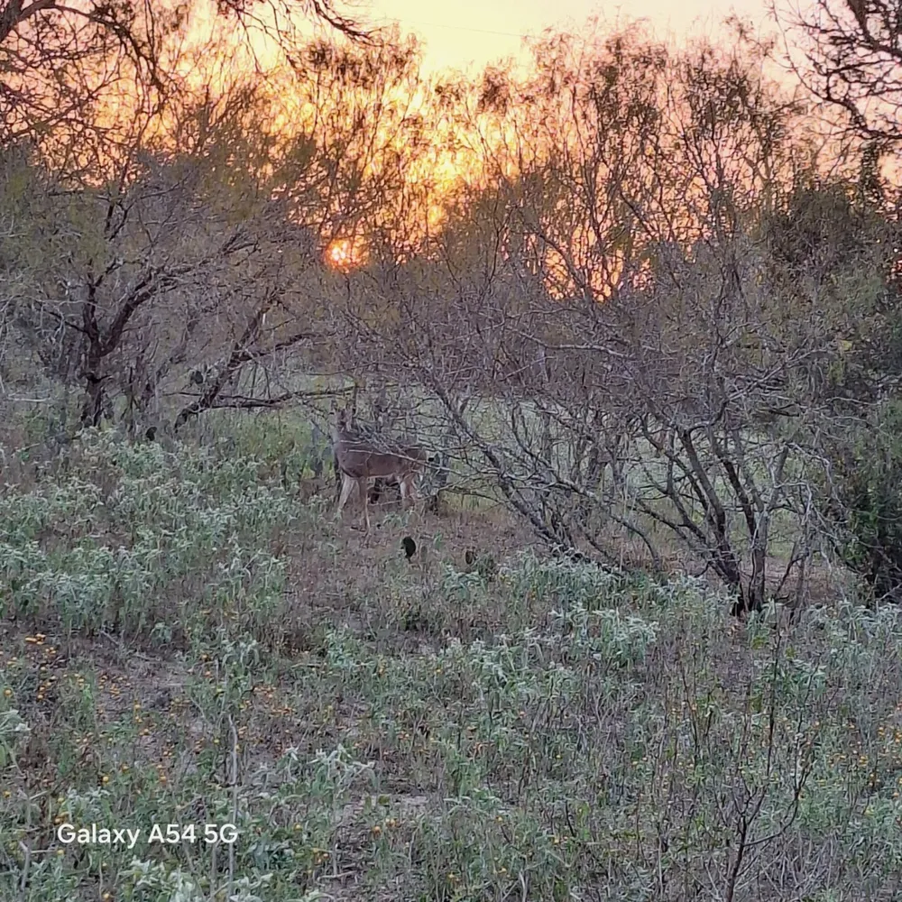 326 The Forest Road Dale, TX 78616