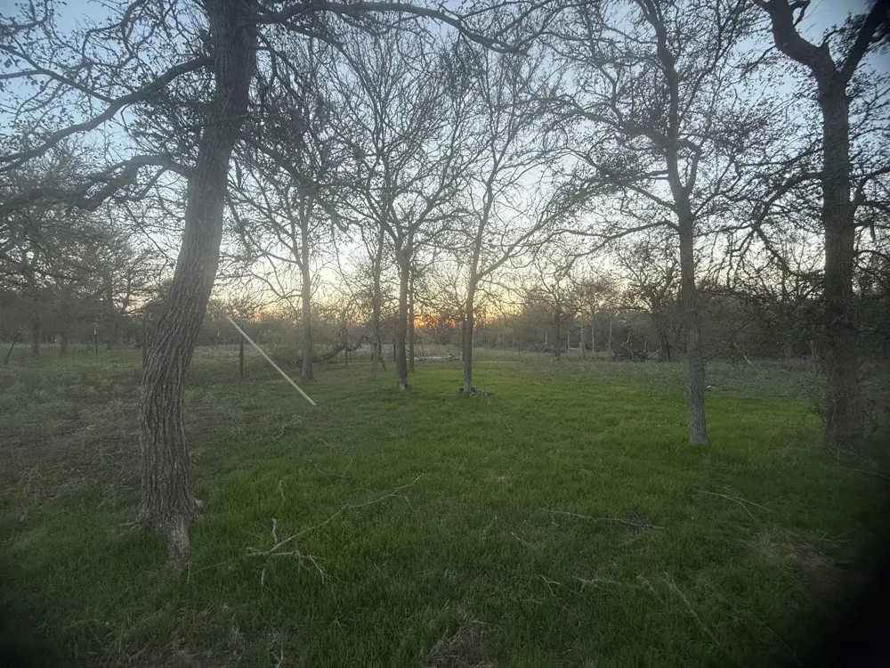 326 The Forest Road Dale, TX 78616
